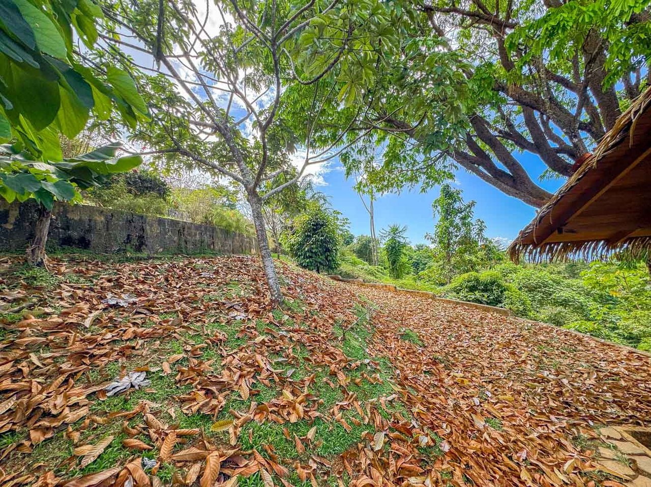 Ocean, Jungle & Mountain View Home in Ojochal | Protected Jungle Setting