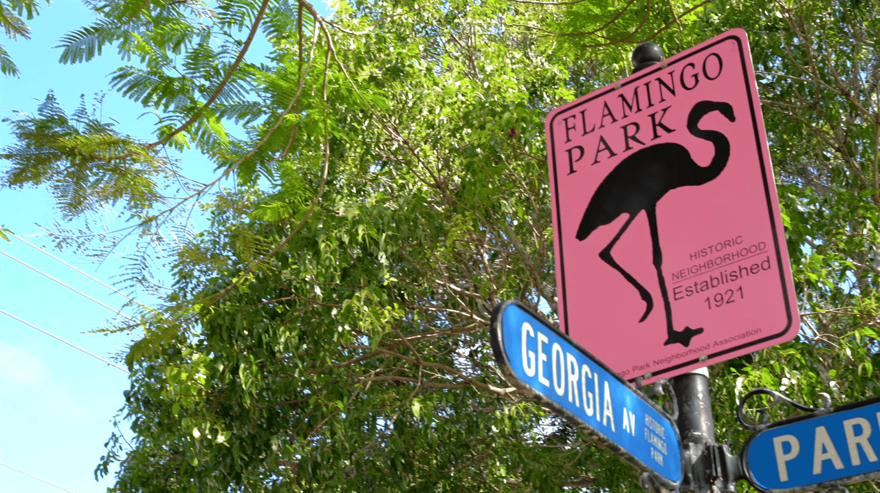 Flamingo Park