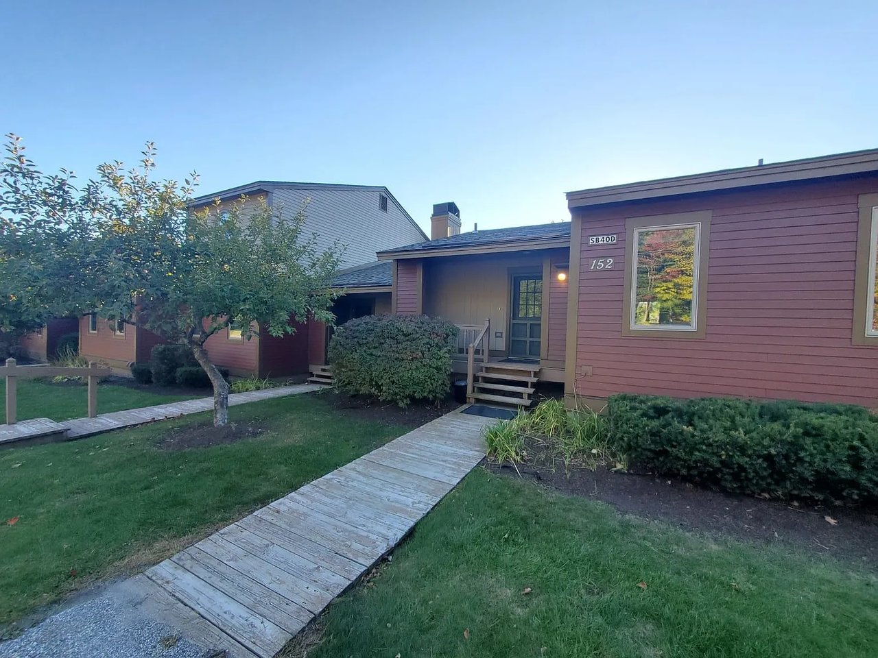 40D Silver Birch #152