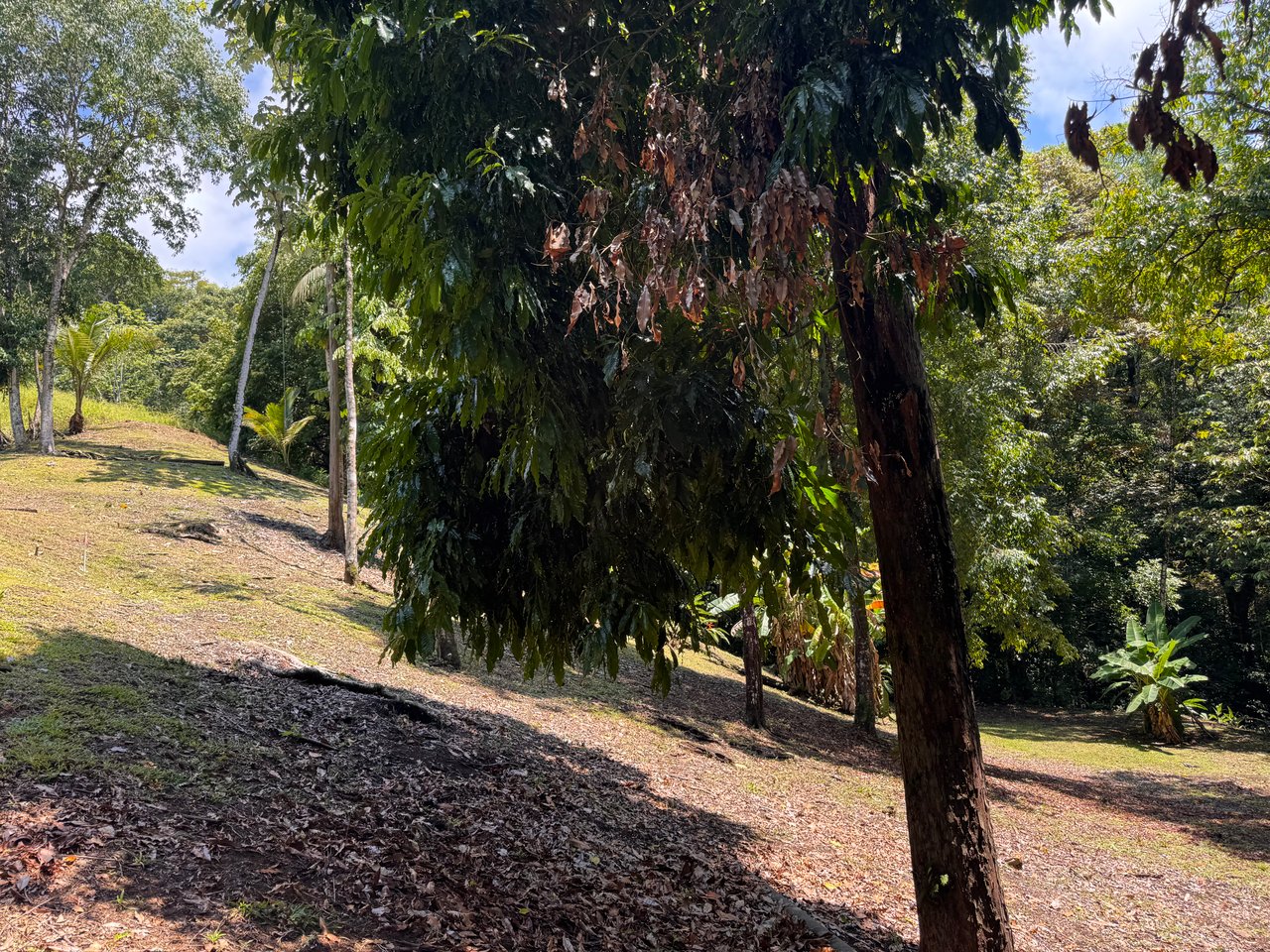 Walk to the Playitas beach, Titlled Building lot