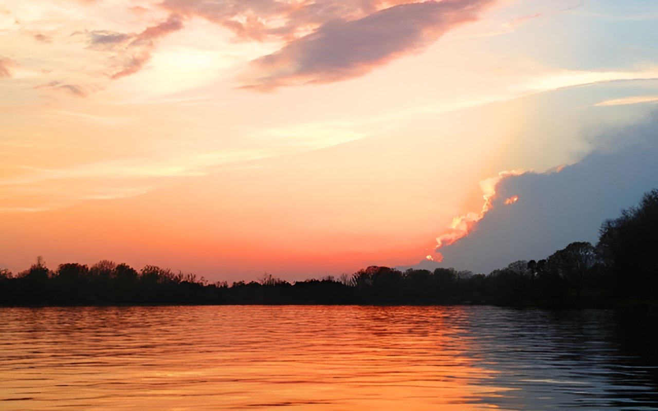 Discovering Perdido Homes for Sale