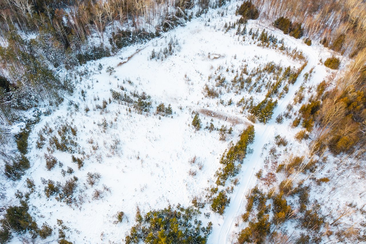 2970 FESSERTON SIDE ROAD