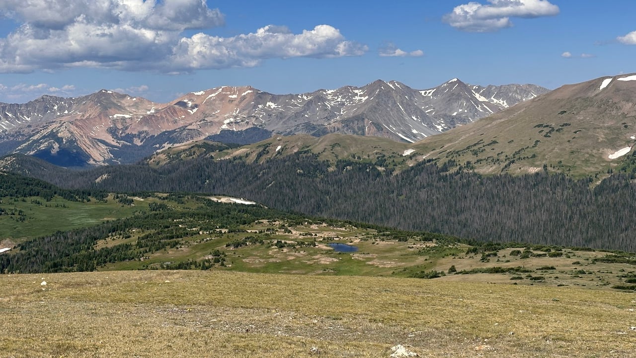 Driving Into the Wild: A Sensory Journey Along Old Fall River Road
