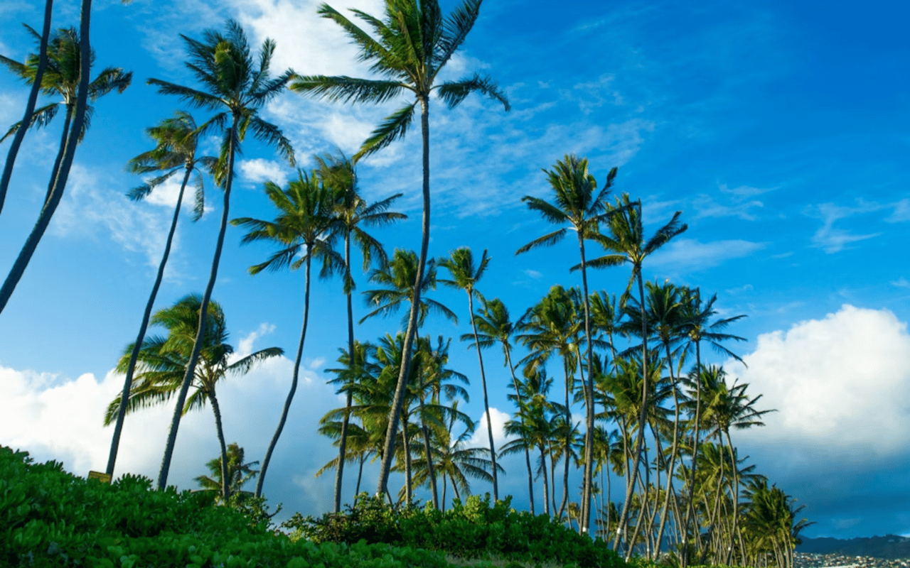 Moving to Kahala: What to Expect in Your First 30 Days as a Homeowner