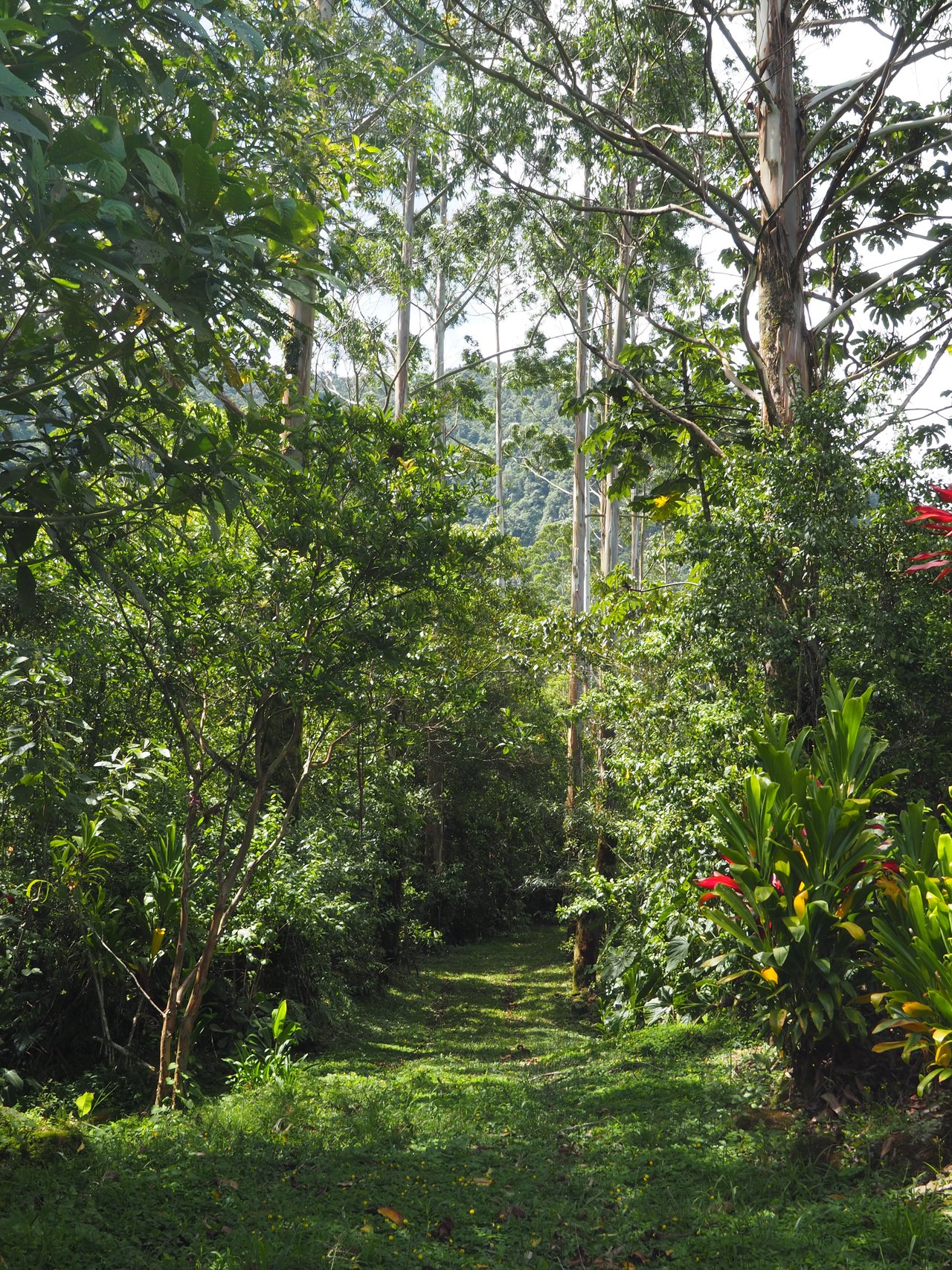 Magnificent Estate with Crystal Clear Streams & Waterfalls - Tierra Serena