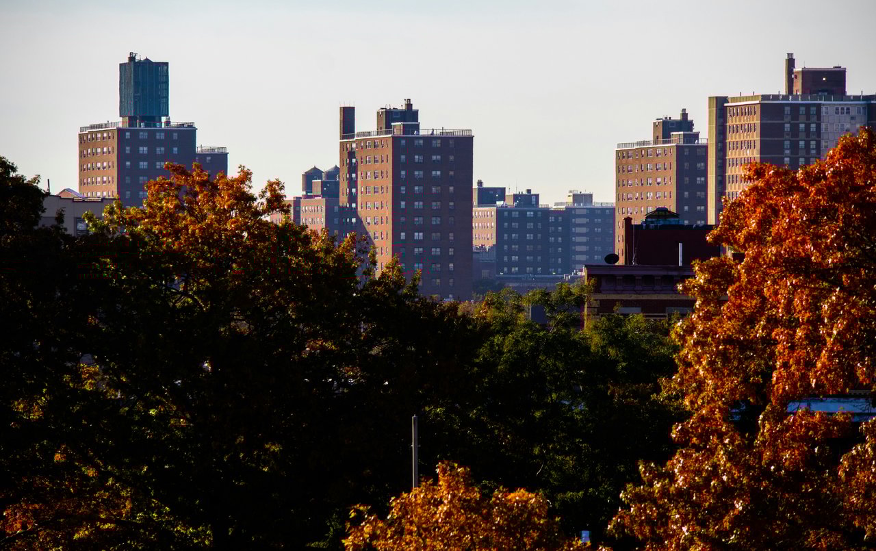 Brooklyn Luxury Report: November 18, 2024 - November 24, 2024