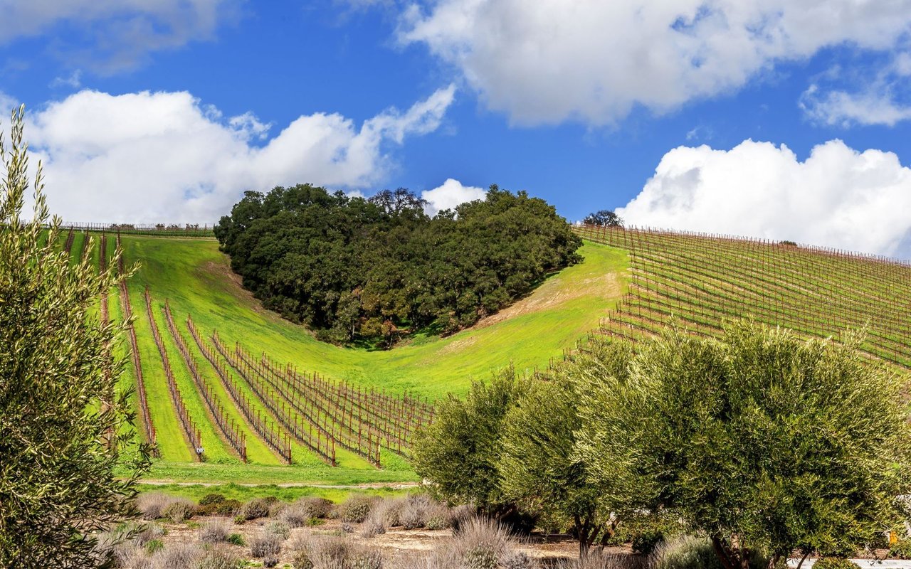Paso Robles