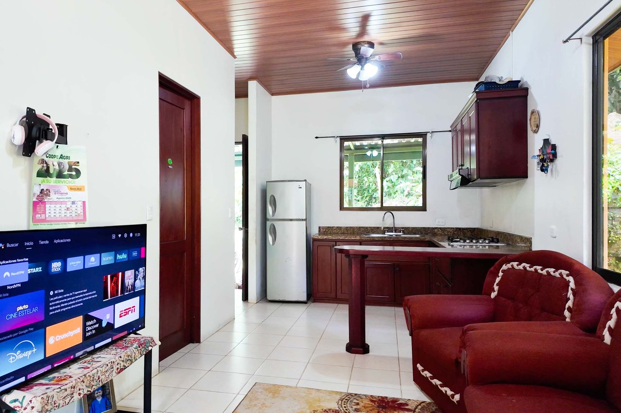 Valley of the Horses , Multi-Home Mountain Retreat -Dominical