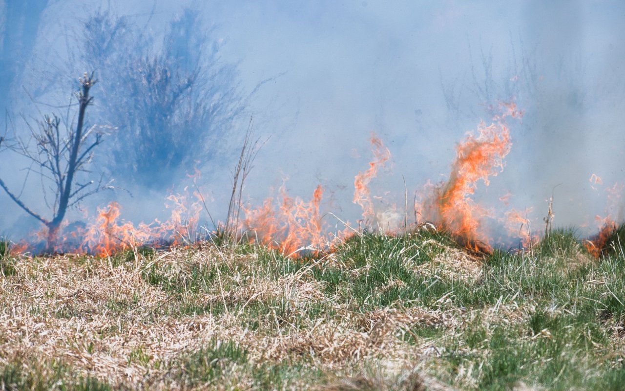 Flames burn through dry grass and brush as thick smoke fills the field.