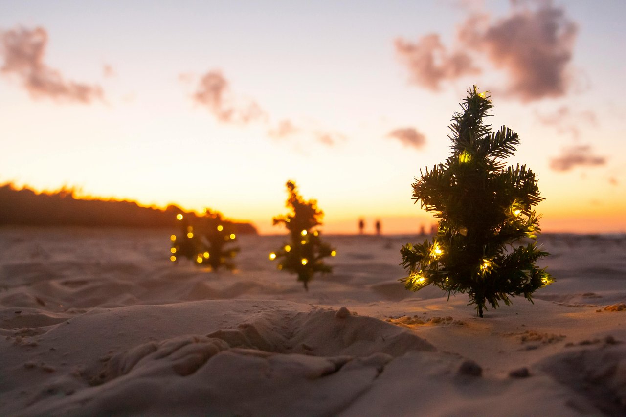 2024 Caskey Holiday Event Guide
