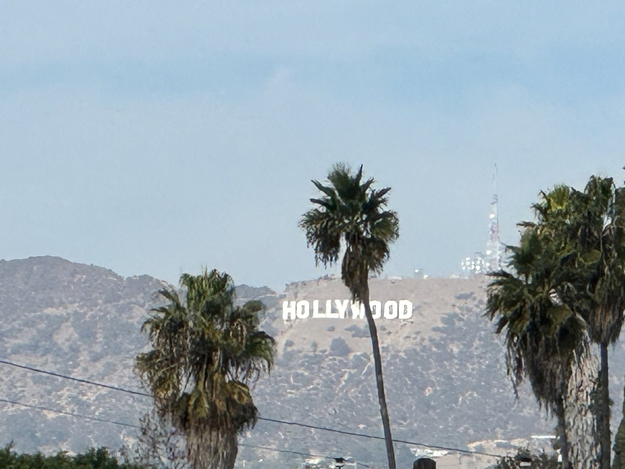 NY Vibe in LA!