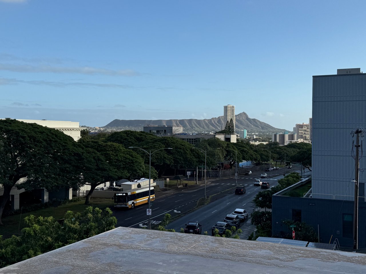 University Court Apts #305