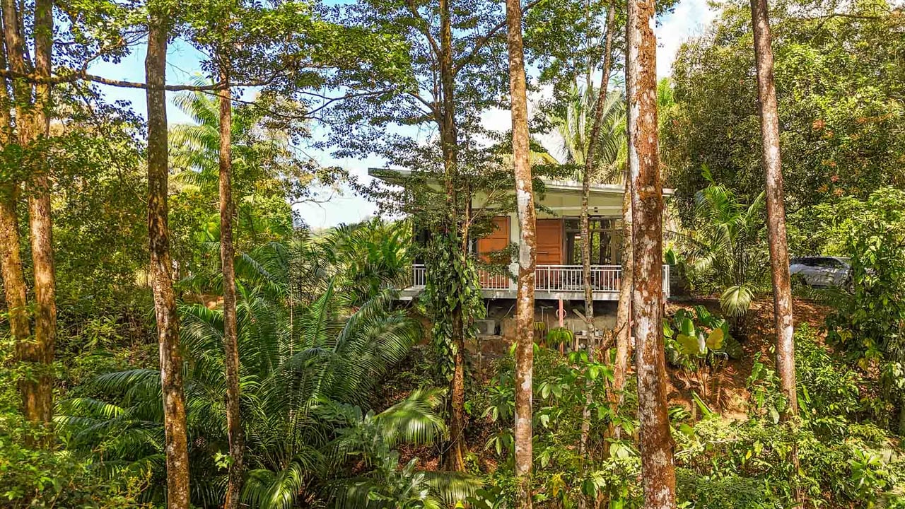 Uvita Jungle Home for Sale | Private Creek Lot Near Marino Ballena