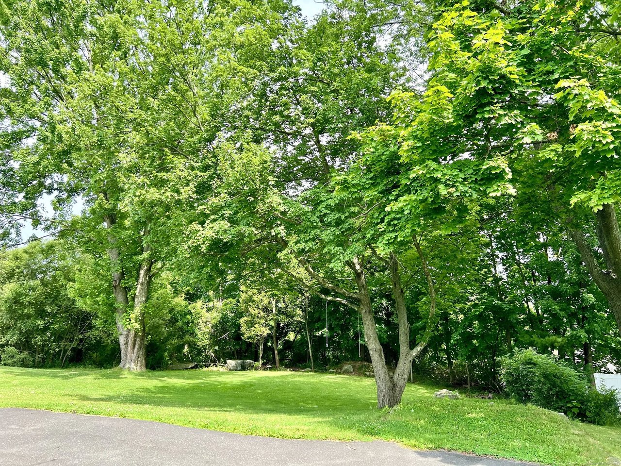 100 Mount Carmel Avenue