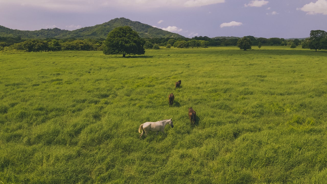  Punta Sabana & Mar Serena