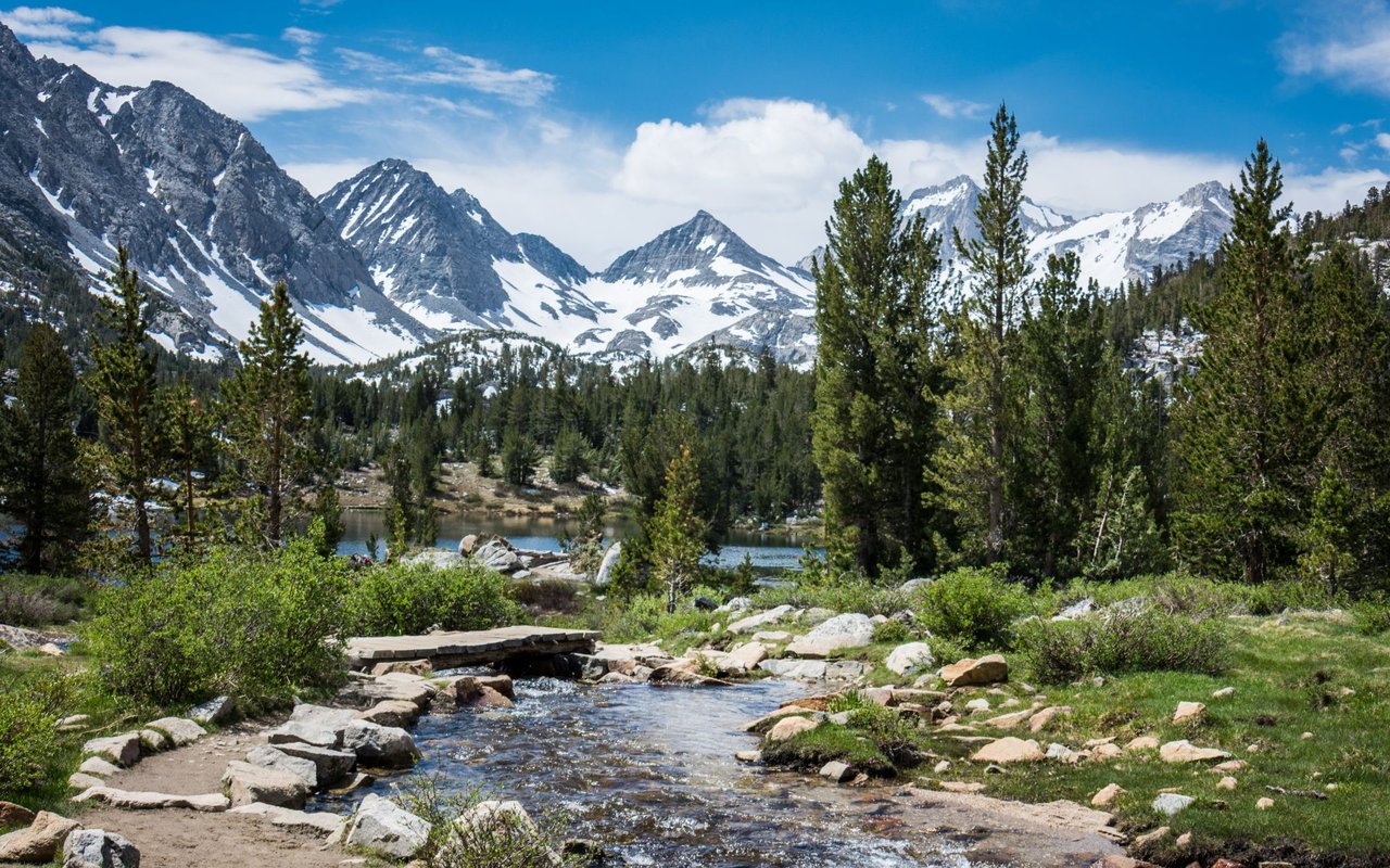 Sierra Meadows | Ponderosa