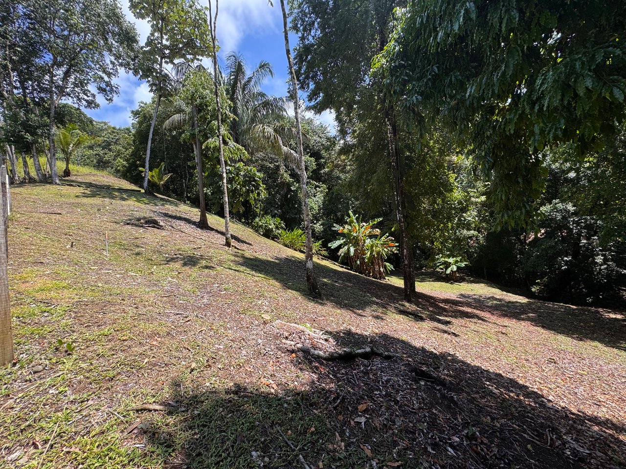 Walk to the Playitas beach, Titlled Building lot