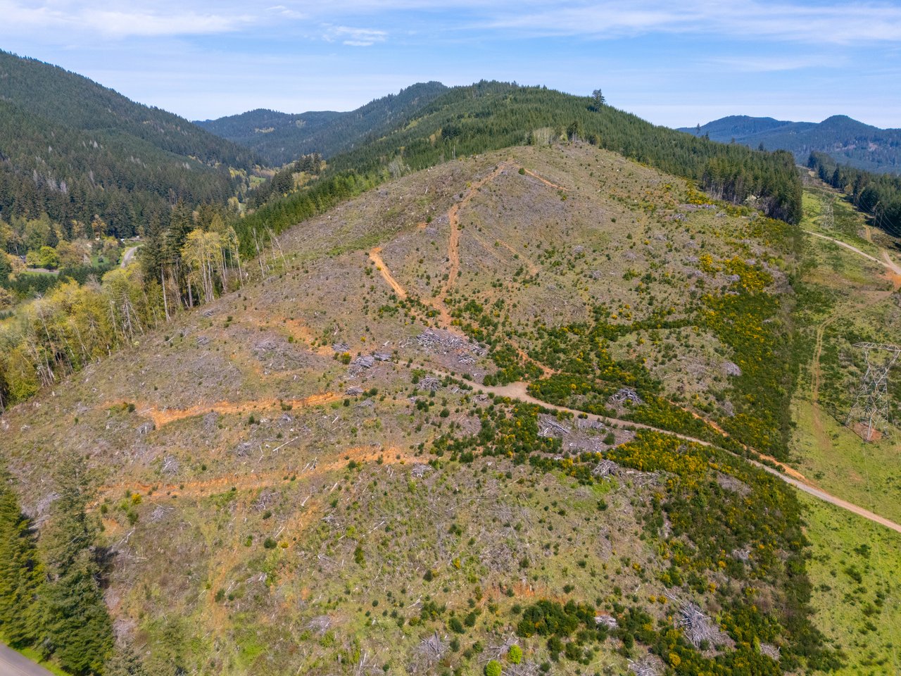 Nelson Mountain Meadows