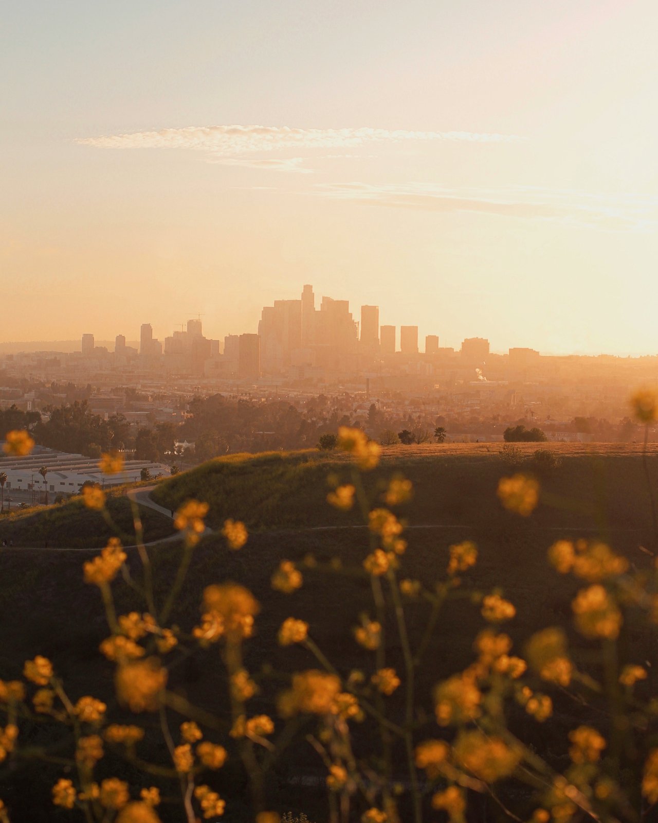 May 2025 Events in Los Angeles