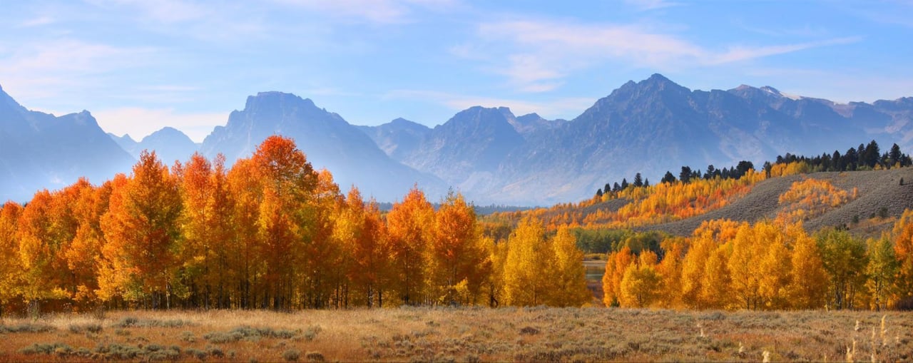 Where to See Fall Colors in Jackson Hole & Teton Valley
