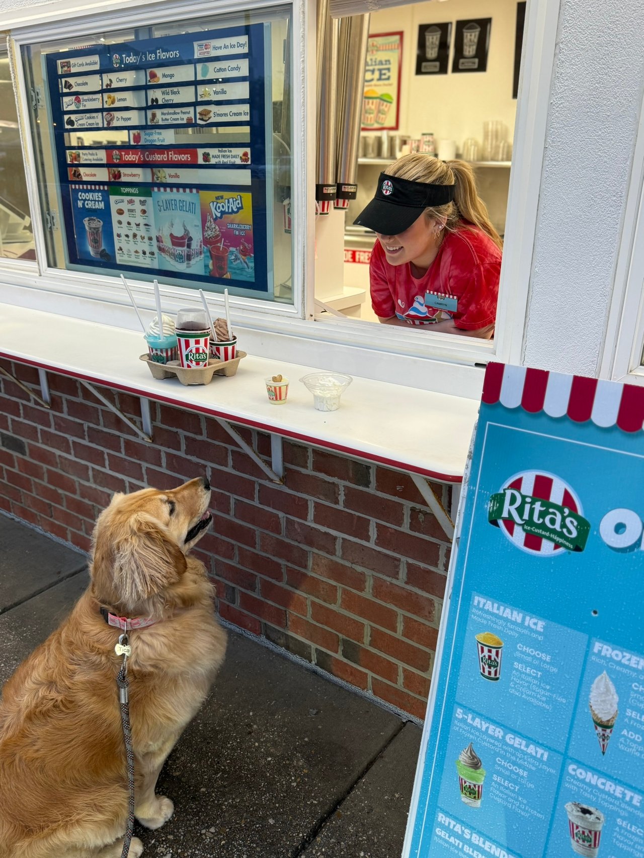 Tica the Golden retriever gets a Pup Cup from Rita's in Arnold, MD