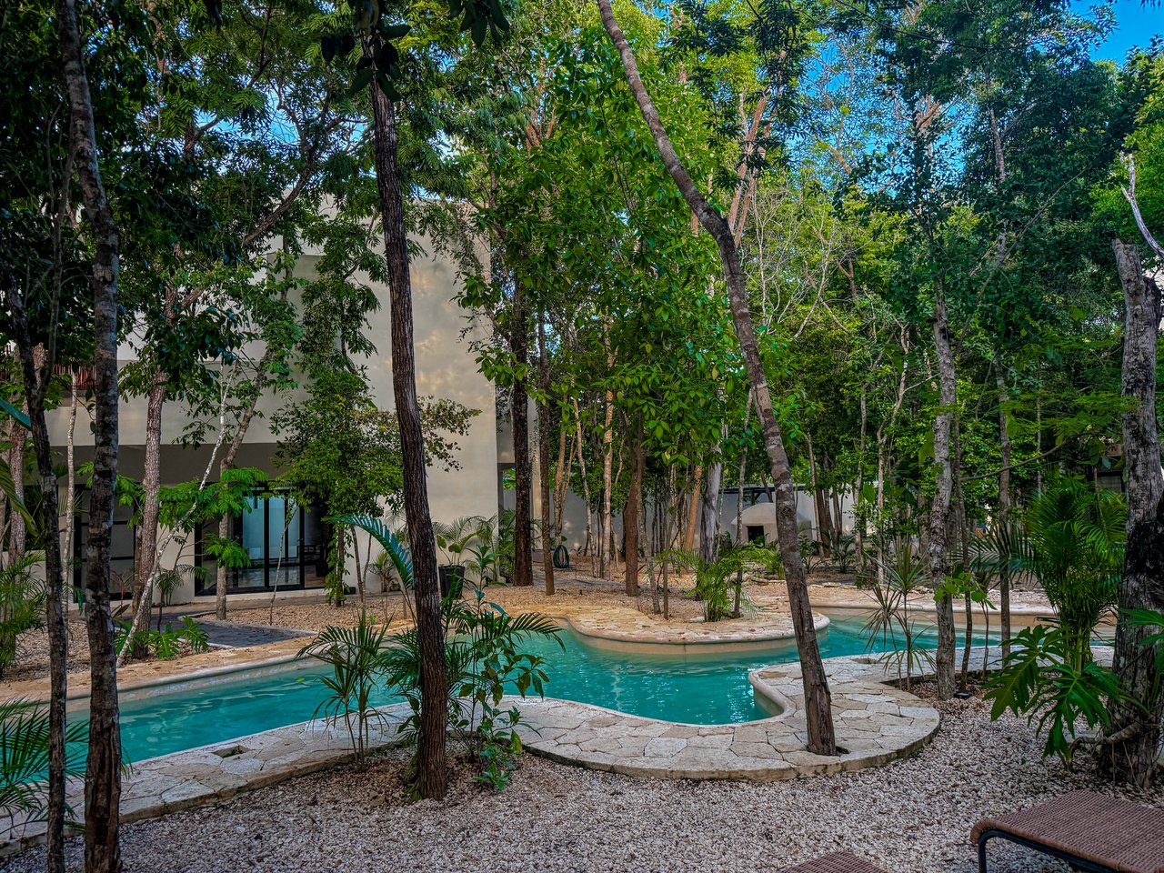 Studio Naia  | Incredible Price