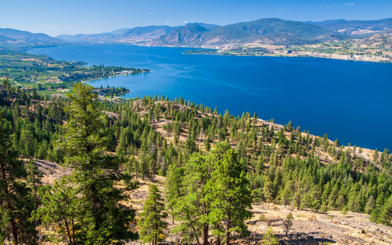 the kelowna rennie advance | June 2026