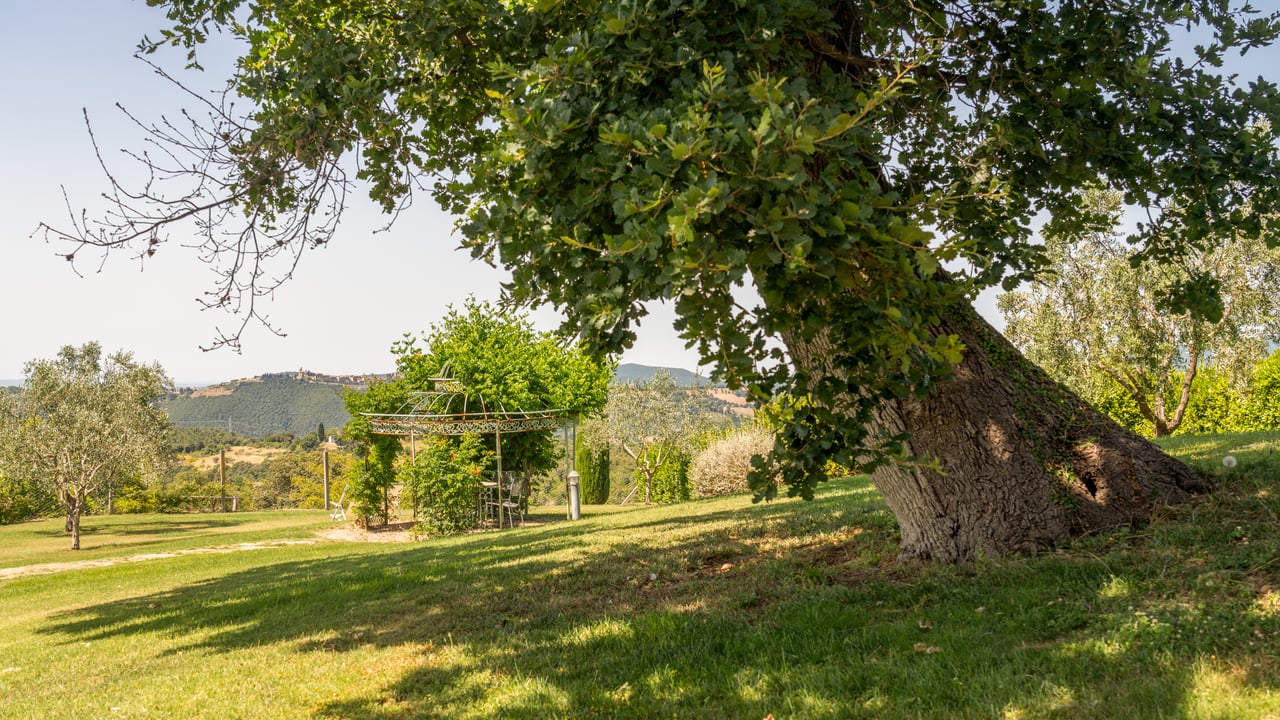 PODERE CIGNO