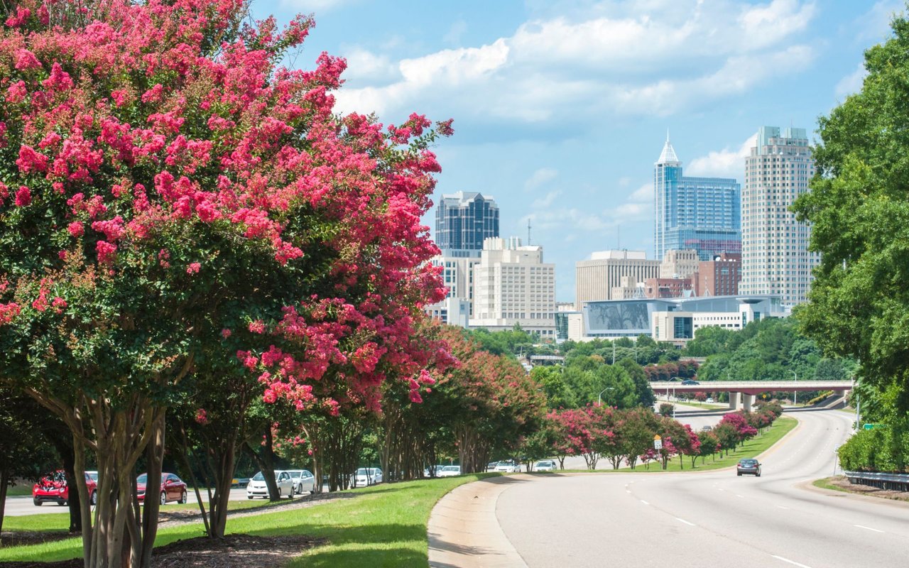 Southern Wake County