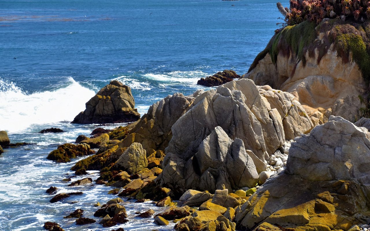Pacific Grove