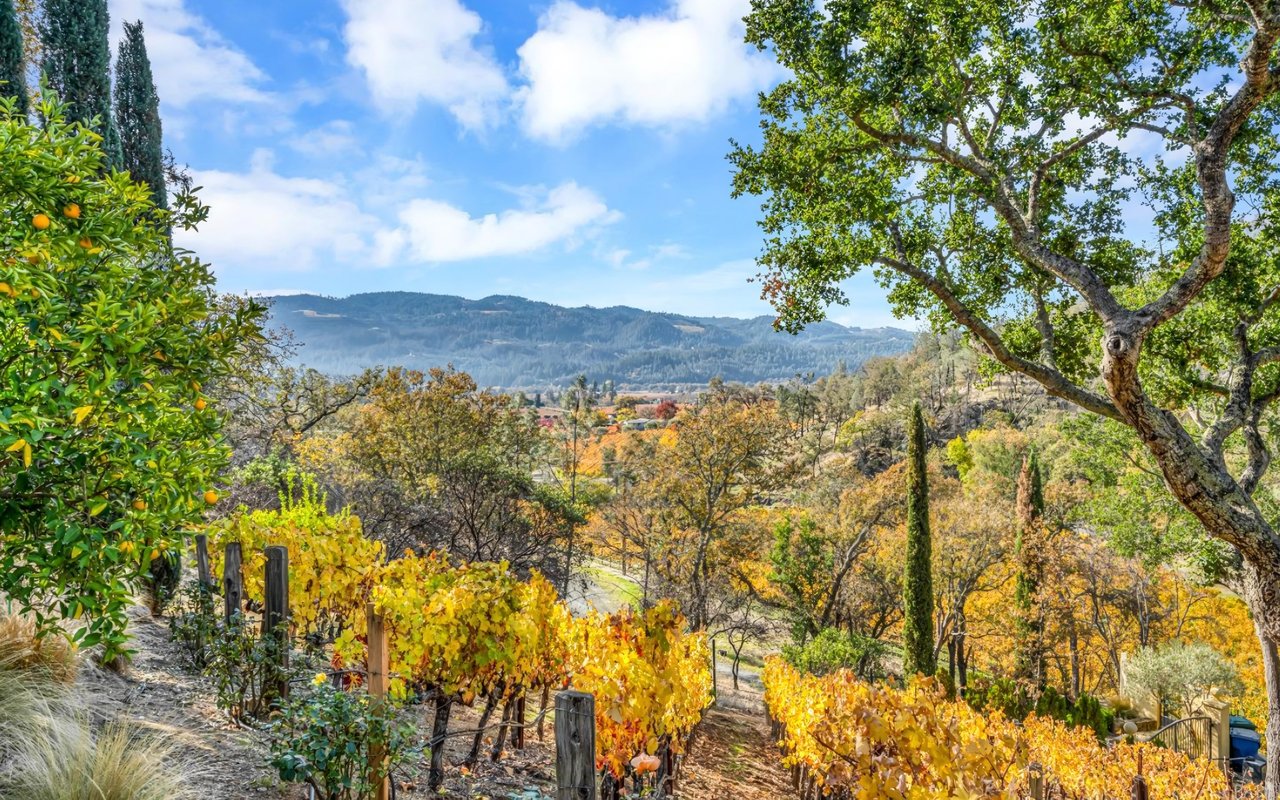 Ultimate Guide to Selling Your House in Napa Valley