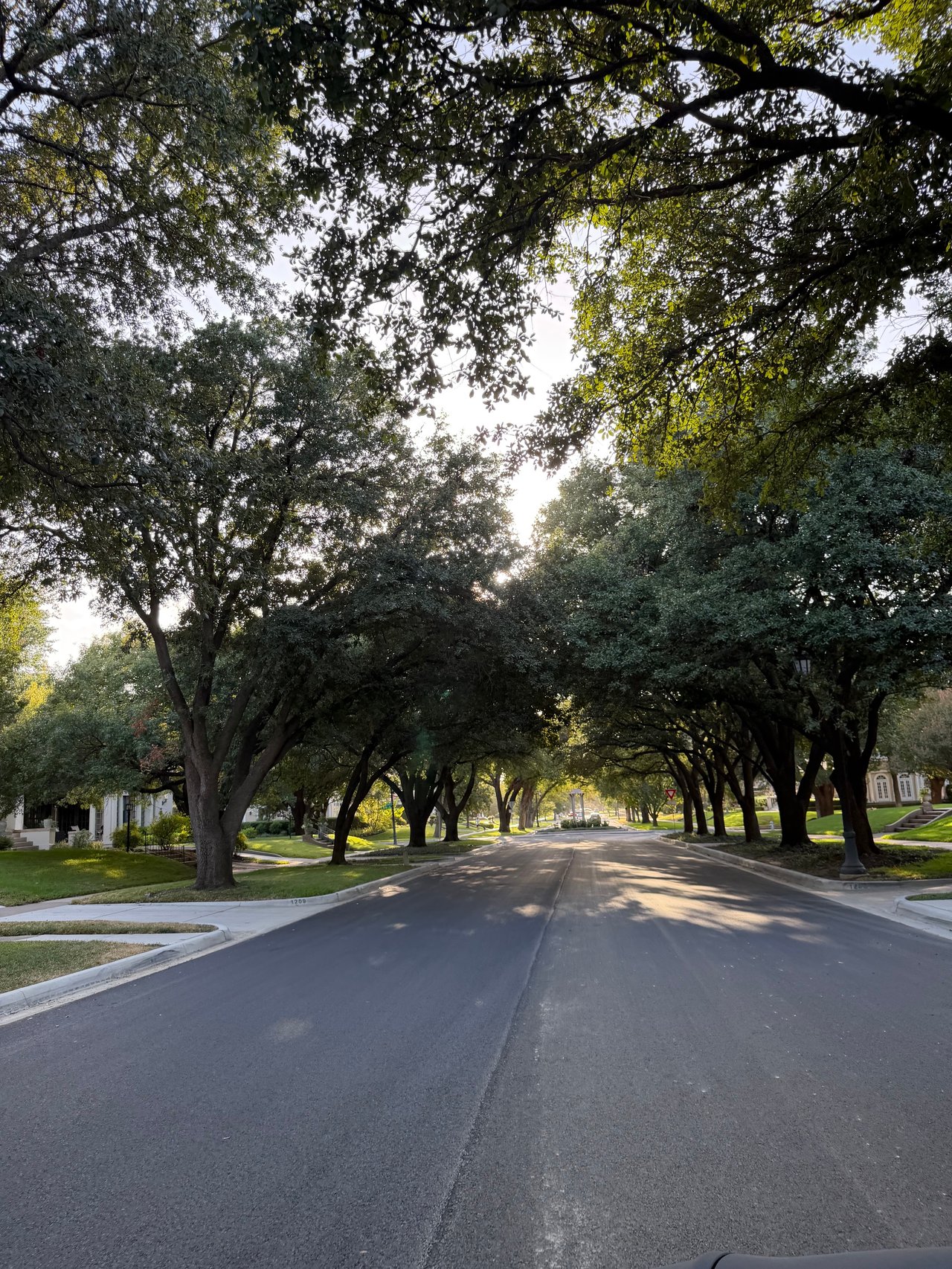 Tree-canopied residential street in Ryan Place, with historic-style homes and warm sunlight.