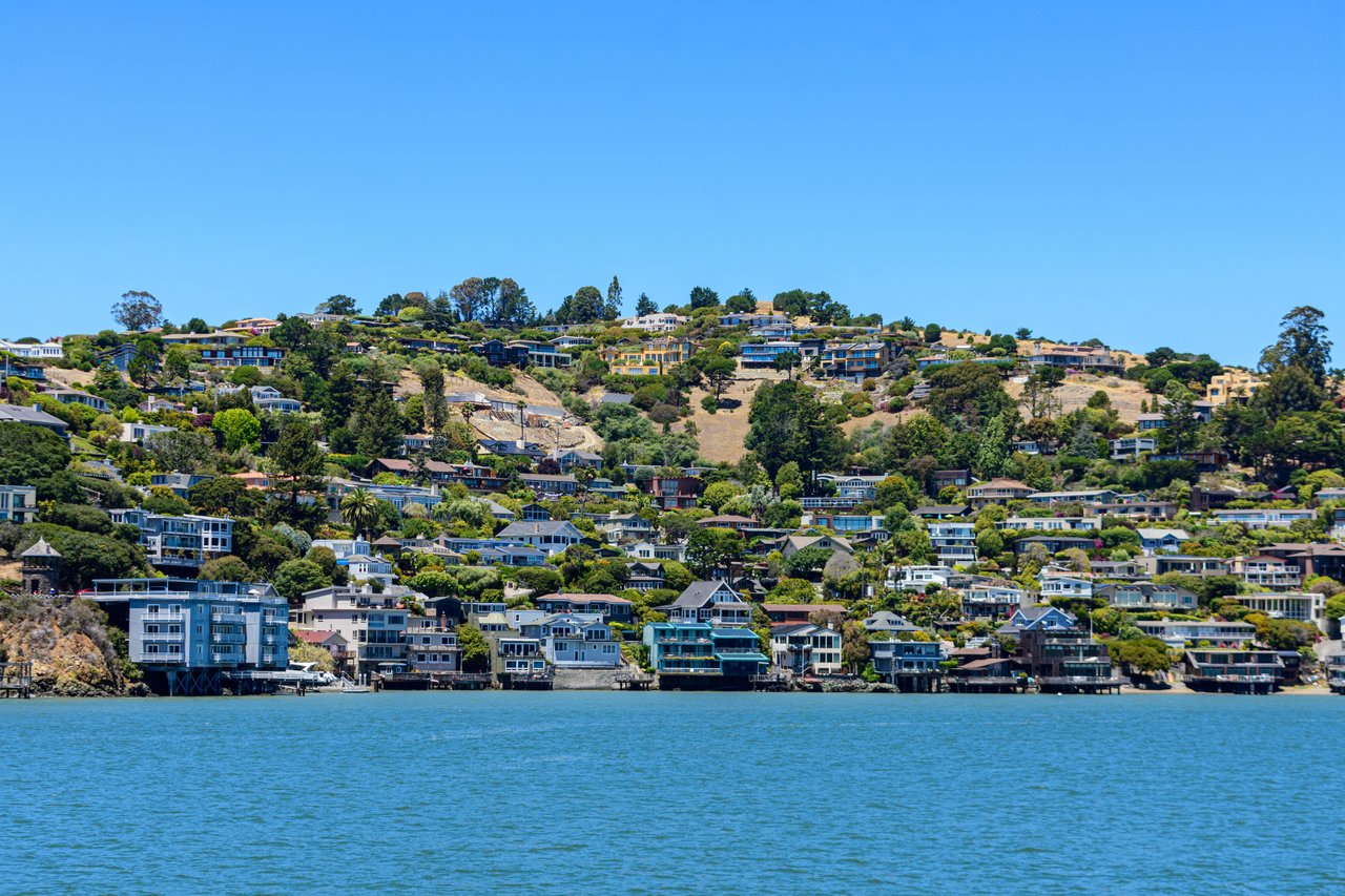 Tiburon