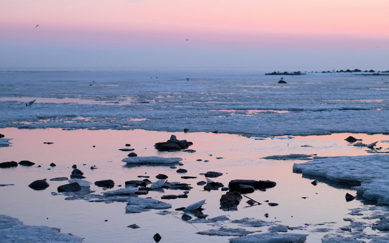 Polar Plunge 2024 at Acworth Beach Raises Over $170,000 for Special Olympics Georgia