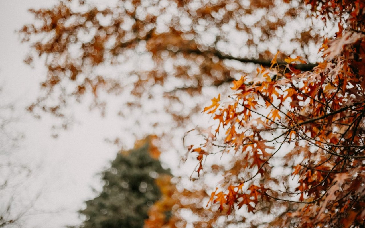 The Impacts of Home Sales Seasonality on the Real Estate Market