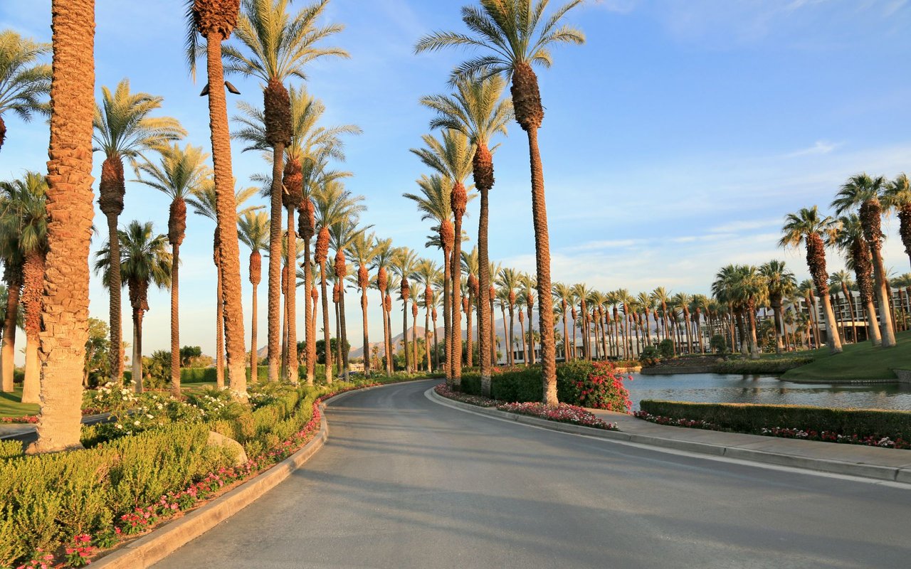 Palm Desert