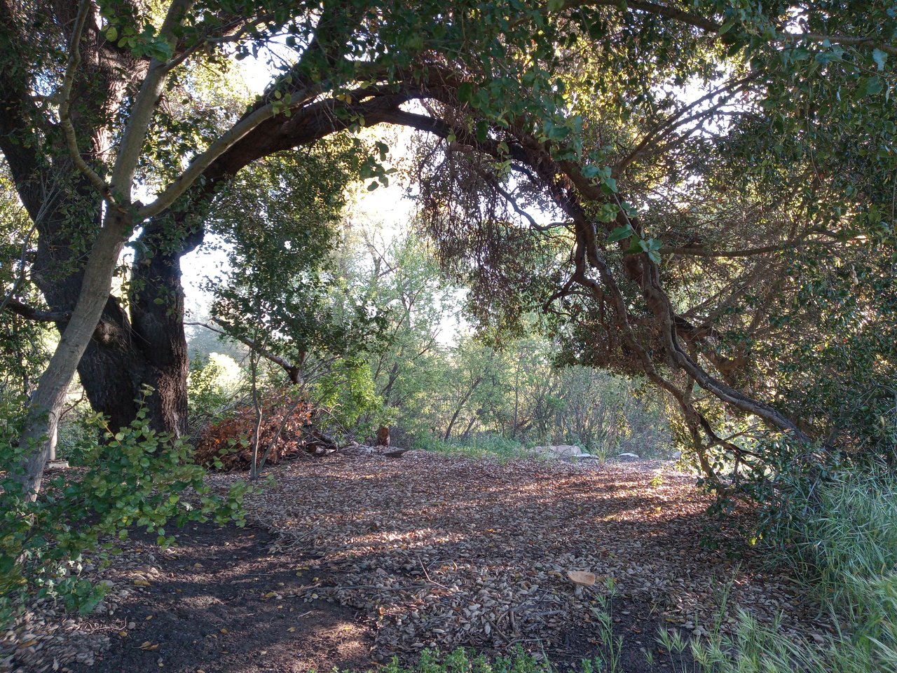 32725 Jerome Road