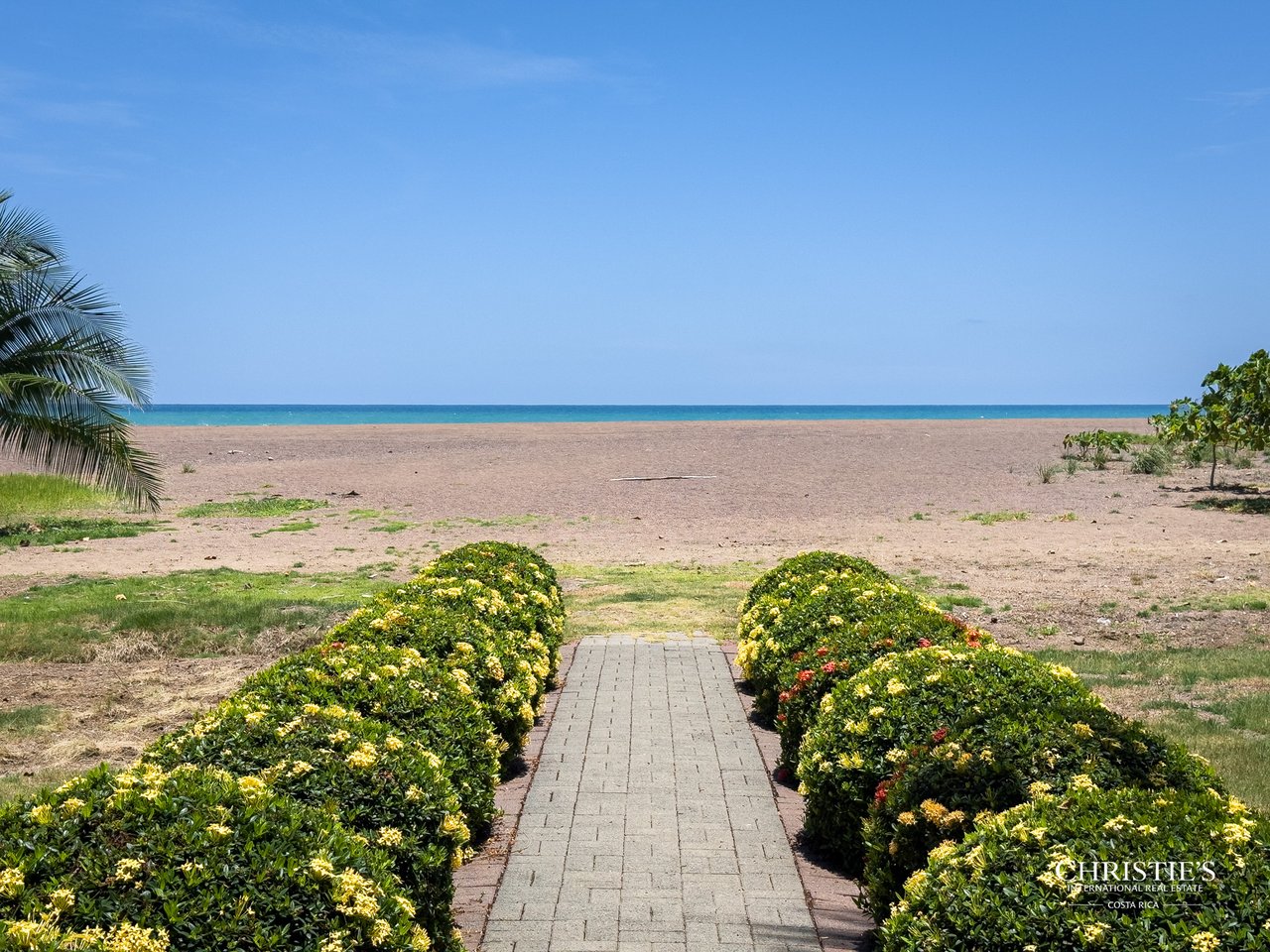 Acqua | Exclusive Oceanfront Living in Jacó