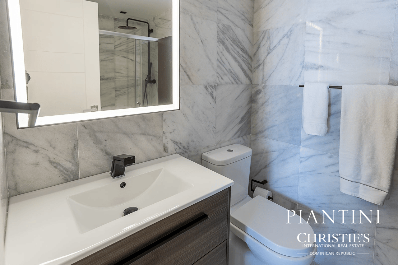 Luxury Skyline Condo