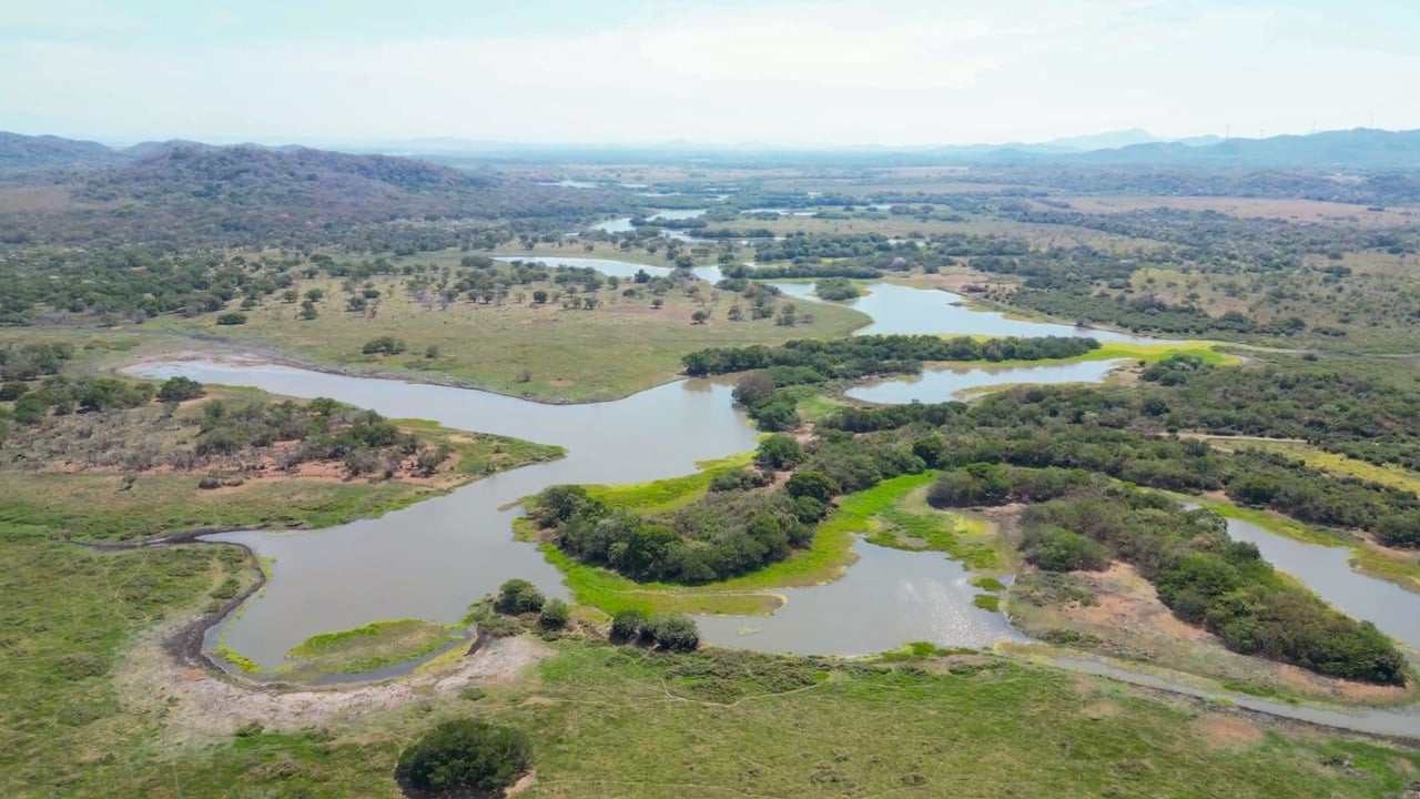 Prime 444-Acre Investment Opportunity 