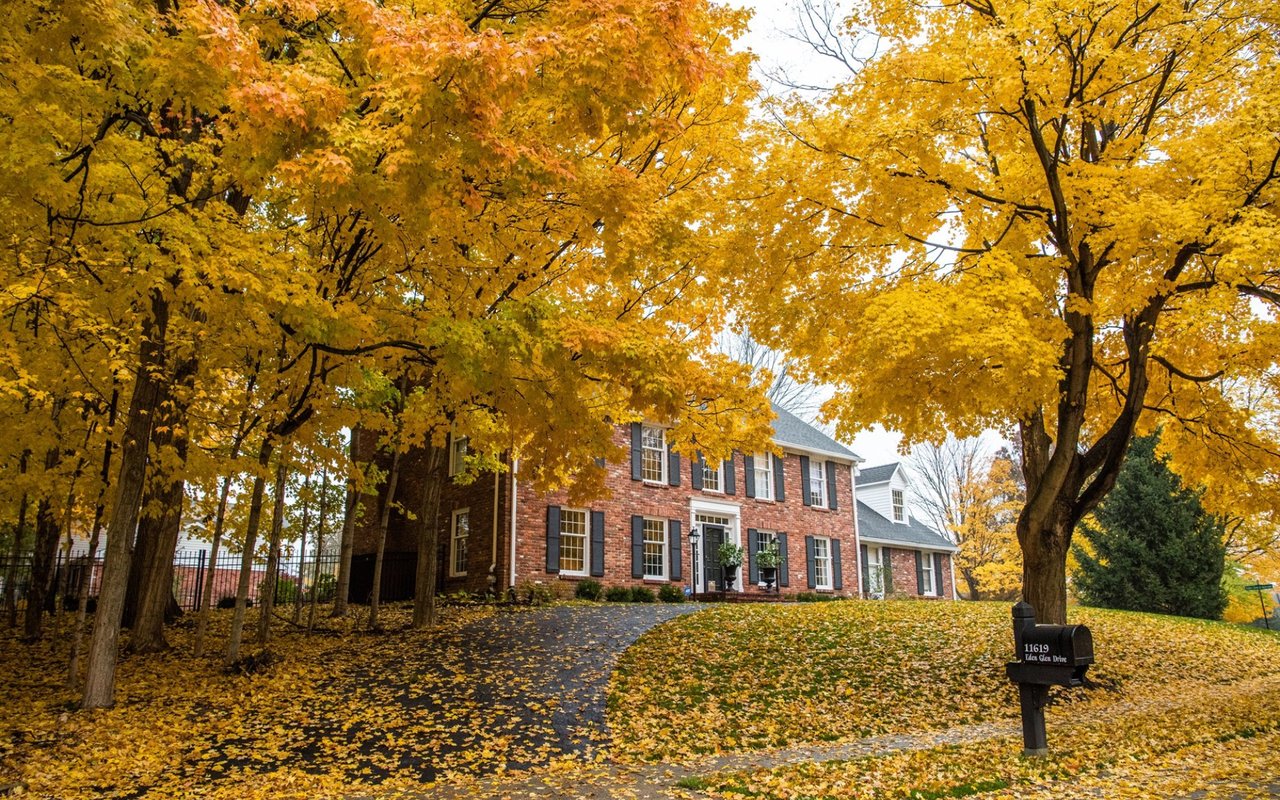Two-story brick house framed by golden autumn trees, with leaf-covered lawn and driveway.