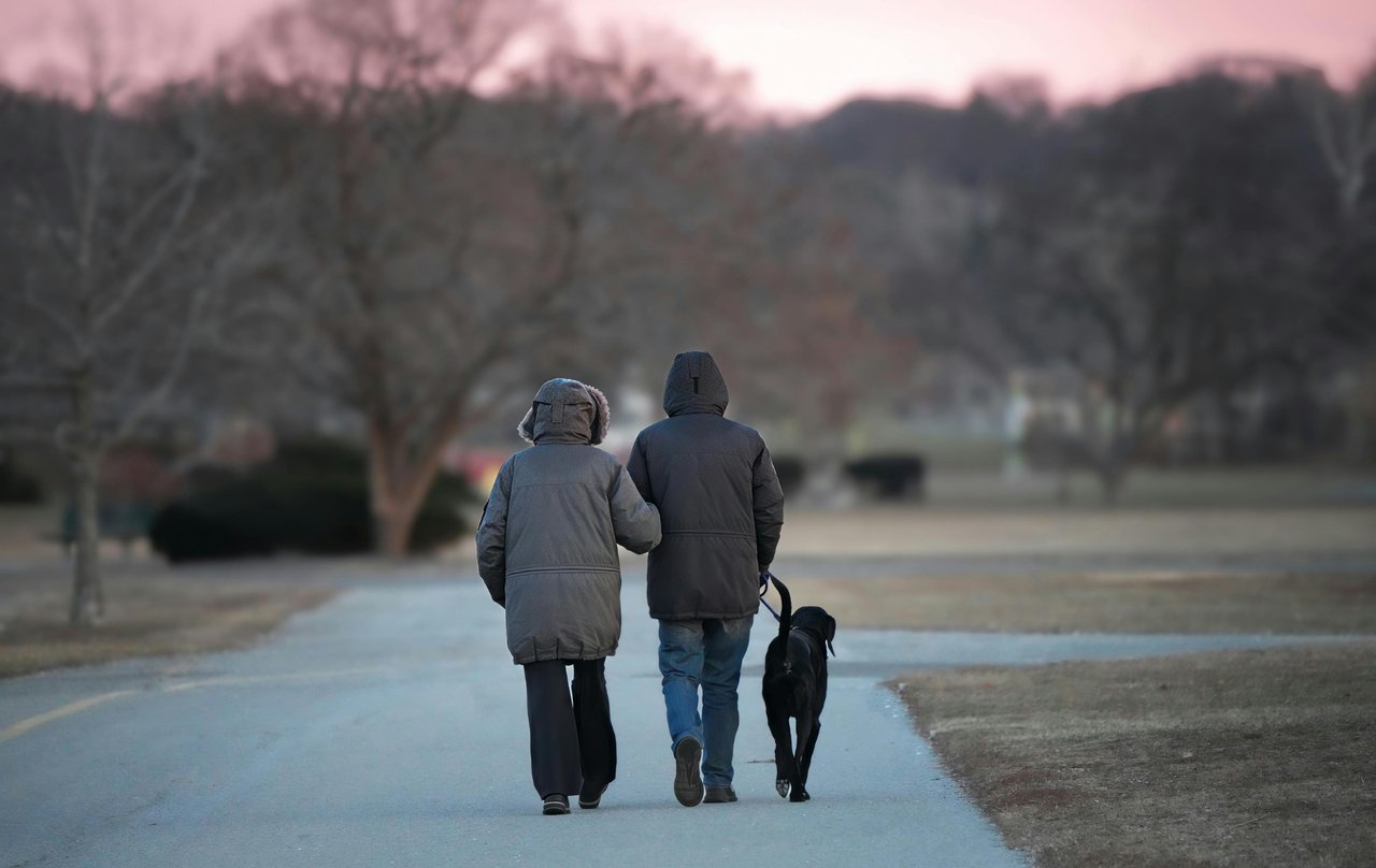 Senior couple walking their dog in a Denver park, enjoying retirement lifestyle