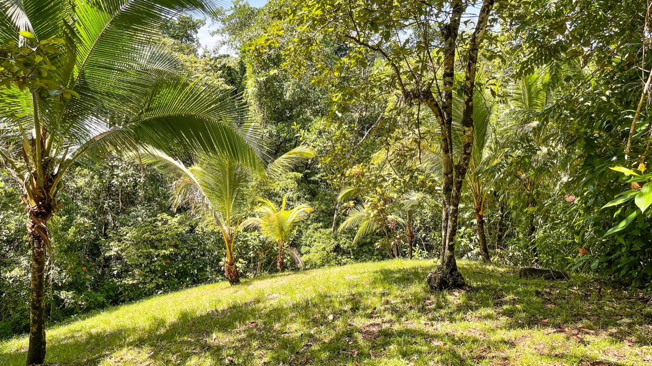 Five Star Private Rainforest Estate on Acreage with Creek