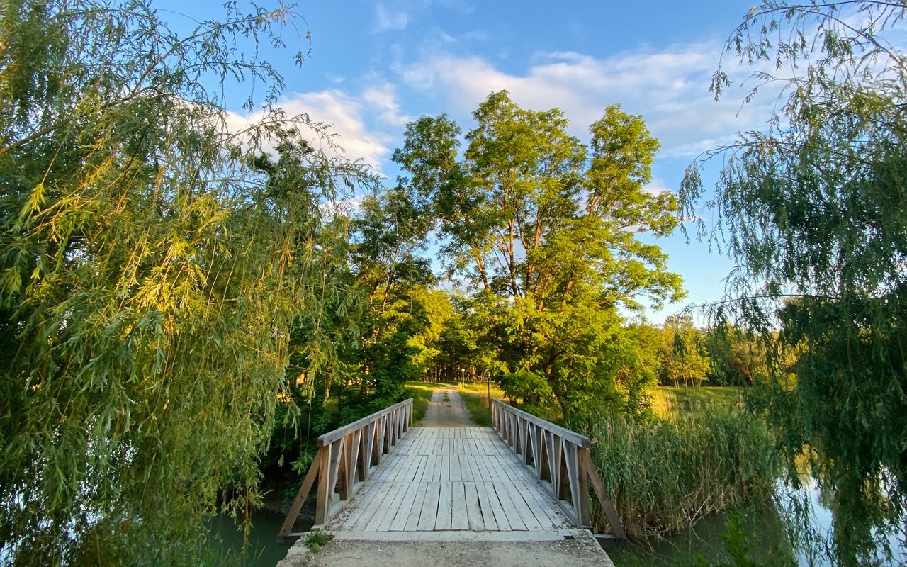 Wooden footbridge crossing a narrow waterway toward a tree-lined path.
