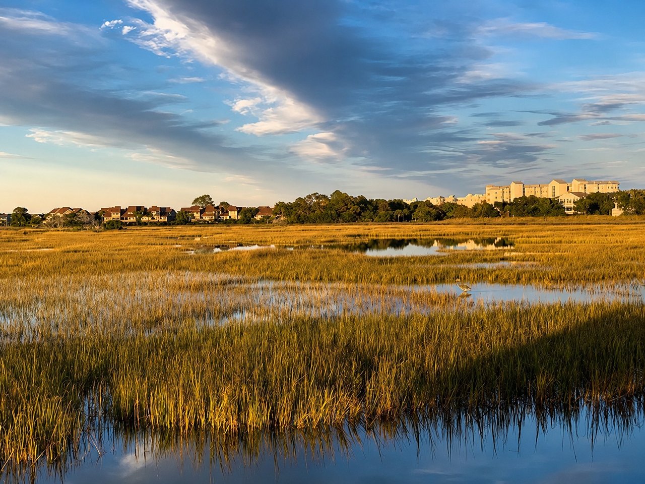 Marsh Point