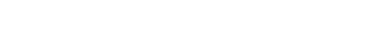 Primary Button