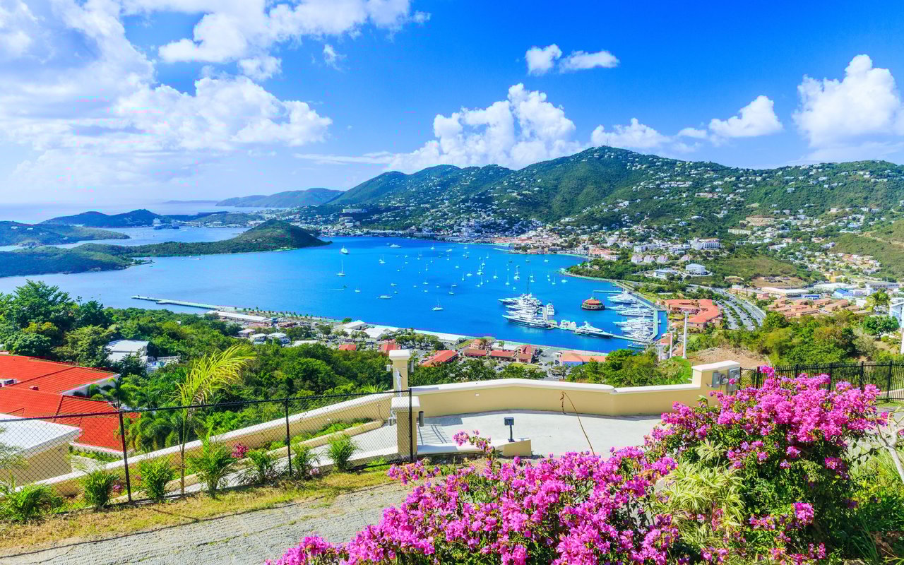 contact-form-background