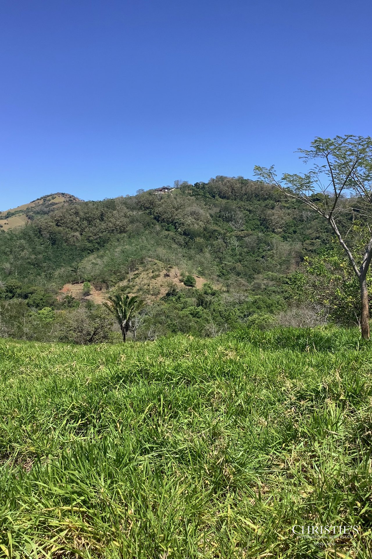 Finca Naranjalito