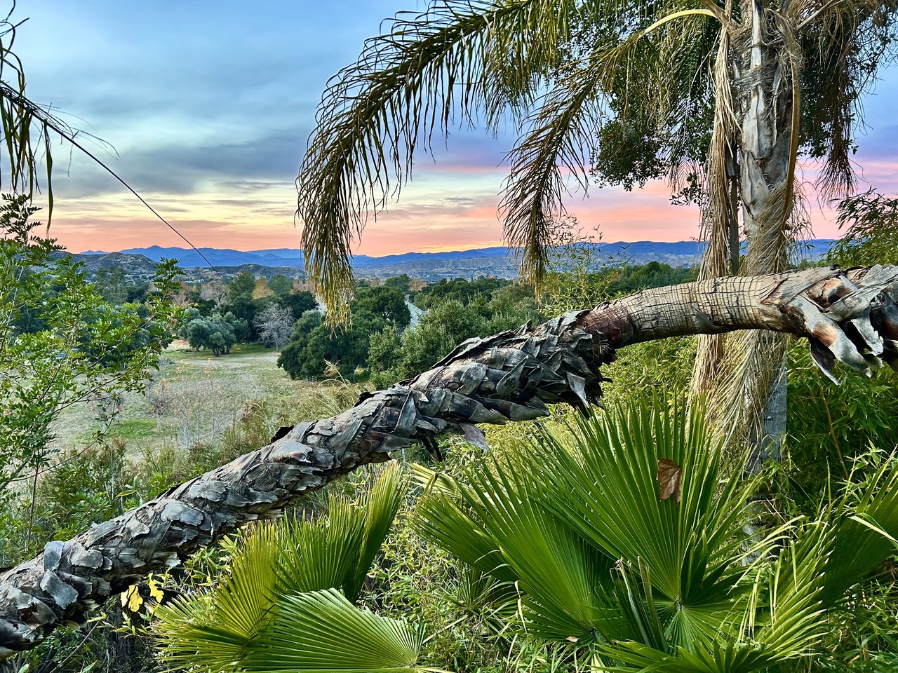 Villa De Palma 🌴