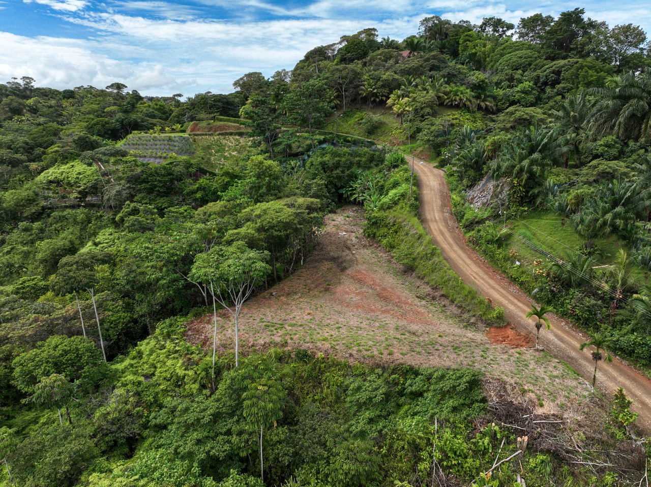 Ocean, Mountain View Ready to Build Lot on Desired Calle Perezoso